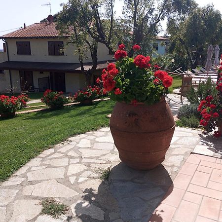 Agriturismo La Luciana Кастильоне дела Пеская Екстериор снимка