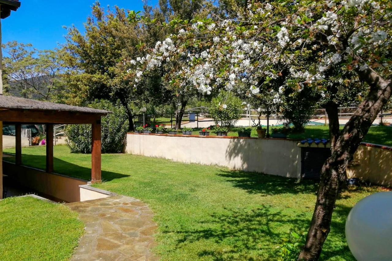 Agriturismo La Luciana Кастильоне дела Пеская Екстериор снимка