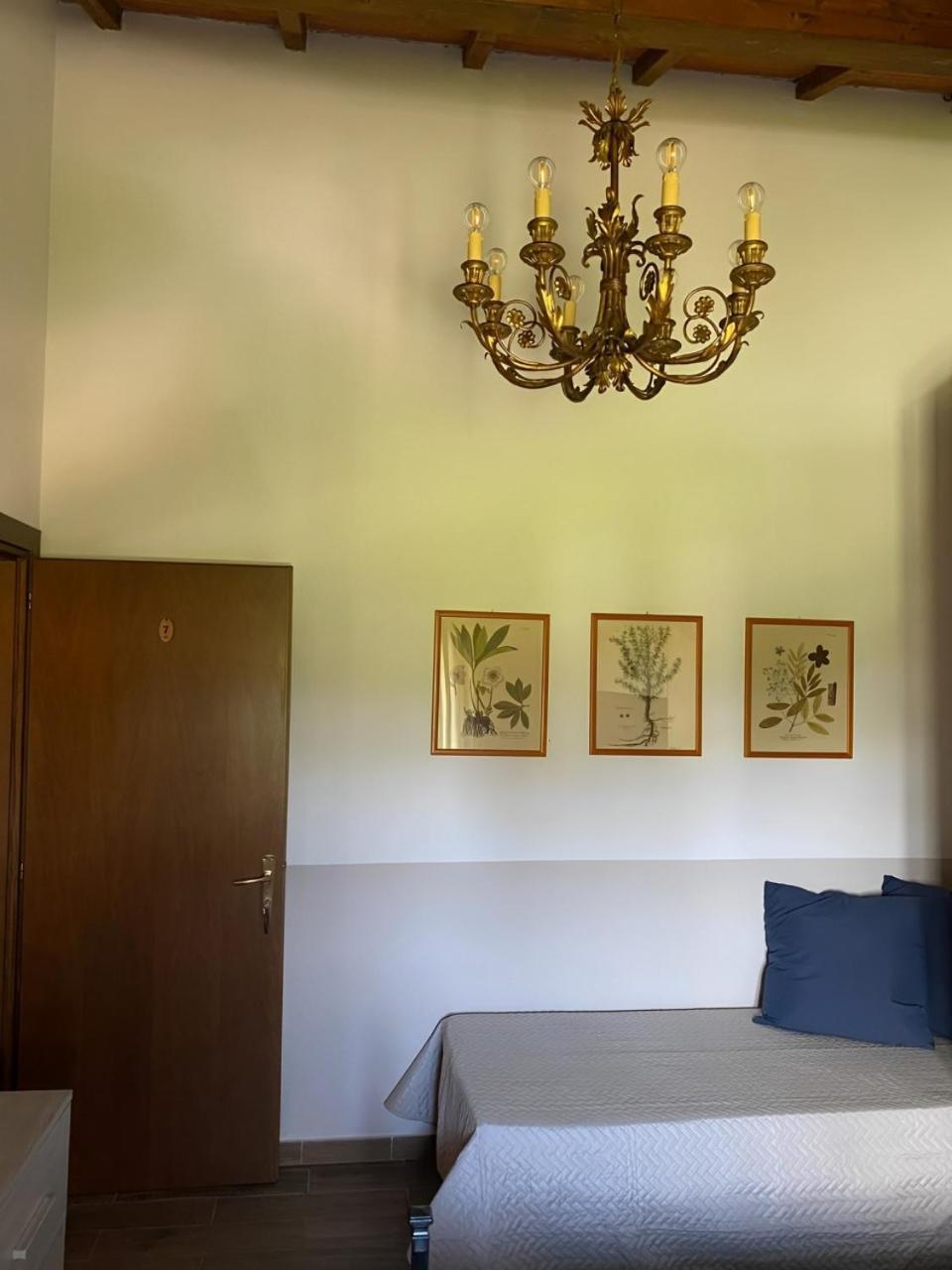 Agriturismo La Luciana Кастильоне дела Пеская Екстериор снимка