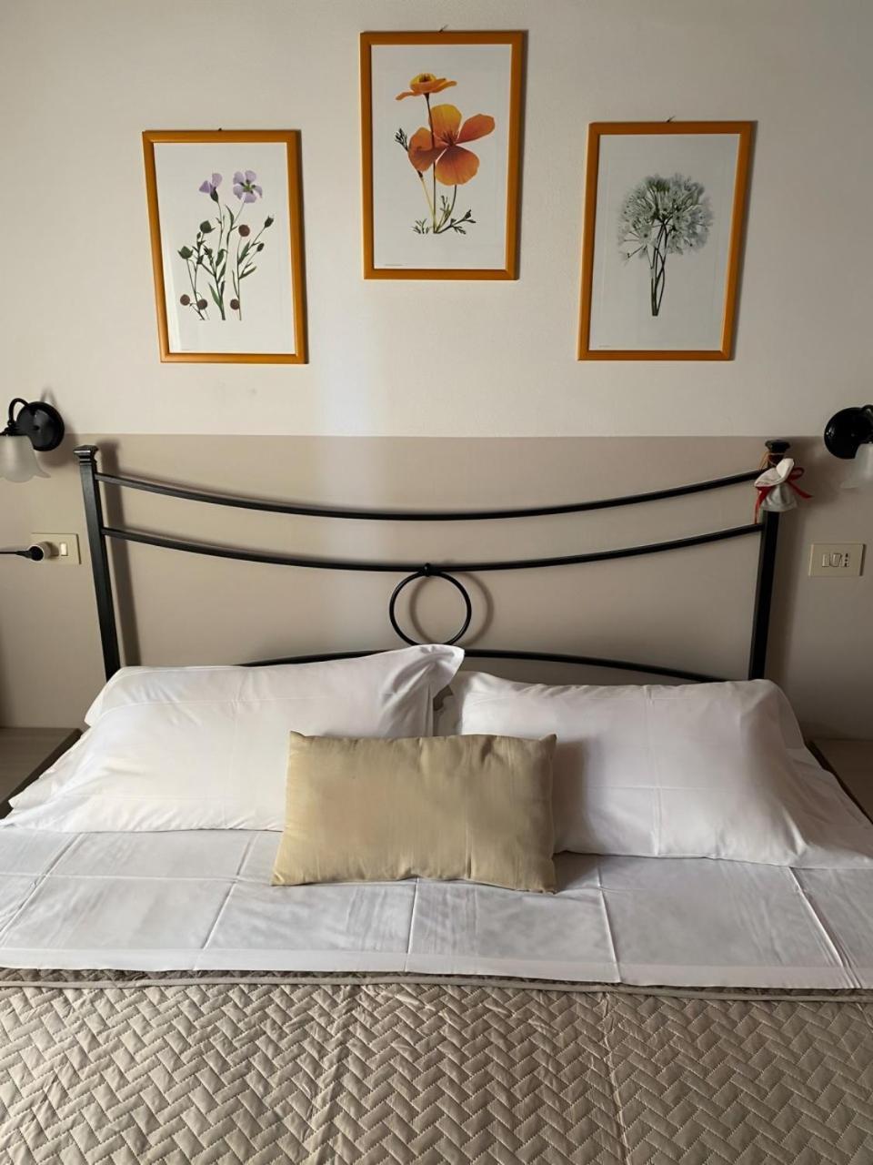 Agriturismo La Luciana Кастильоне дела Пеская Екстериор снимка