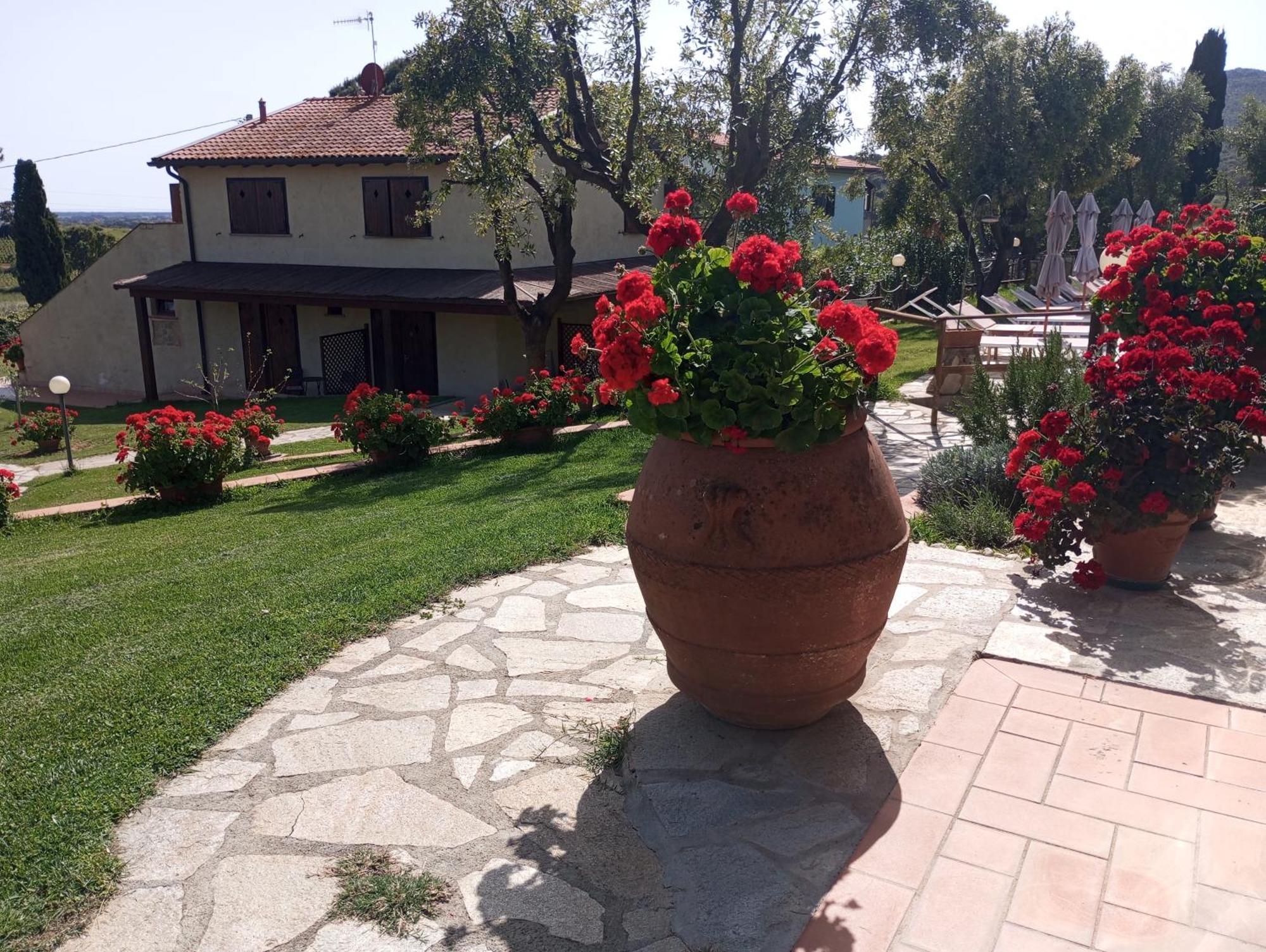 Agriturismo La Luciana Кастильоне дела Пеская Екстериор снимка