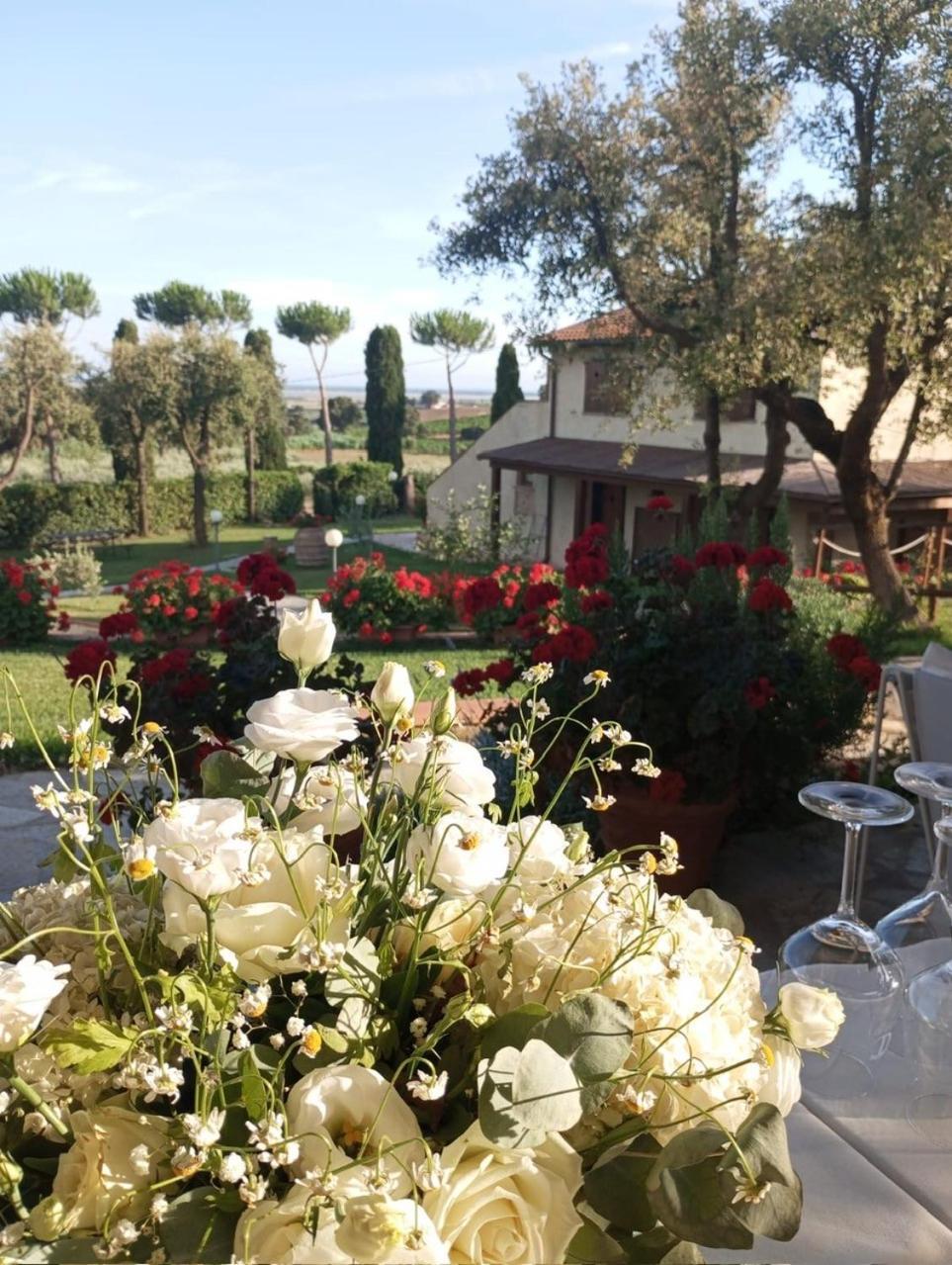 Agriturismo La Luciana Кастильоне дела Пеская Екстериор снимка